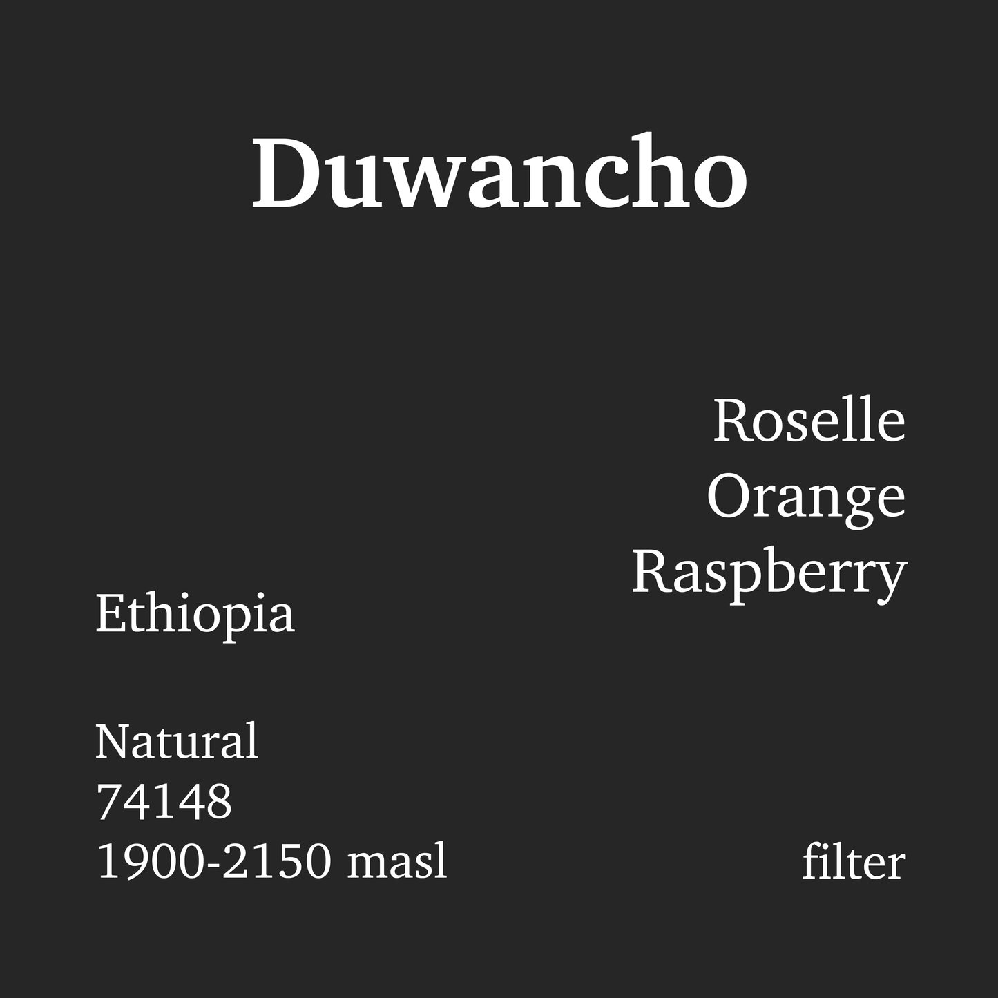Duwancho Natural - Ethiopia